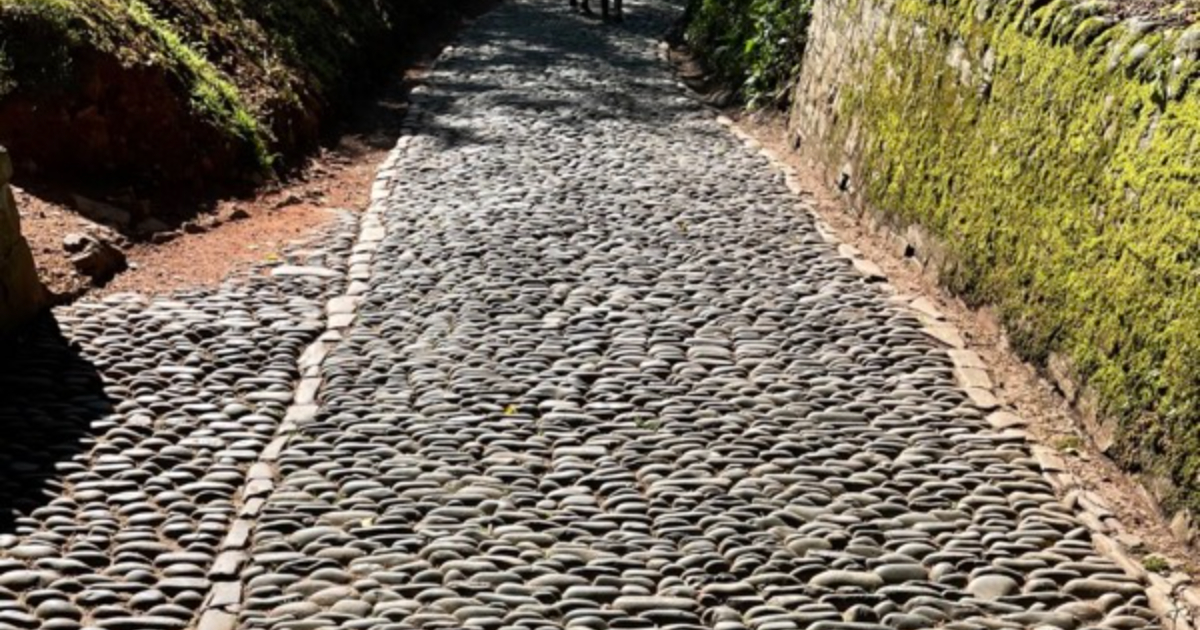 Perplexity Ditches DynamoDB for CobbleDB, Cuts Latency and Costs